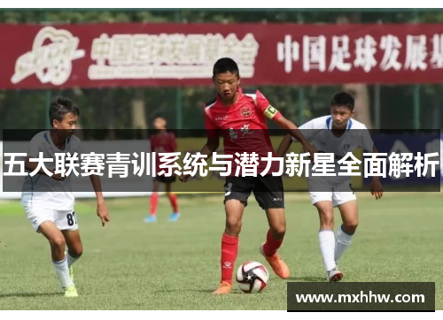 五大联赛青训系统与潜力新星全面解析