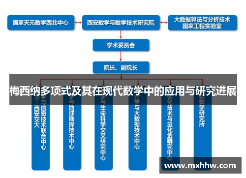 梅西纳多项式及其在现代数学中的应用与研究进展
