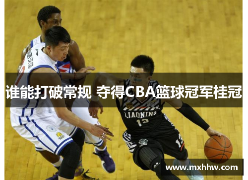 谁能打破常规 夺得CBA篮球冠军桂冠