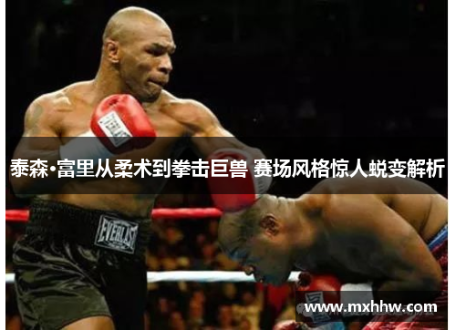泰森·富里从柔术到拳击巨兽 赛场风格惊人蜕变解析