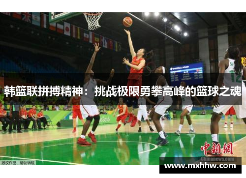 韩篮联拼搏精神：挑战极限勇攀高峰的篮球之魂